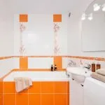 Orange baie stiluri și materiale pentru finisaje posibile