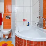 Orange baie stiluri și materiale pentru finisaje posibile