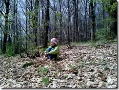 На нашата екскурзия до Transcarpathia