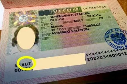 Indítása és fogadása vízumot Ausztria egyedül 2017-ben