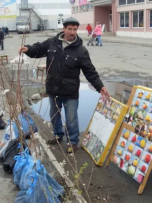 Toamna în grădină, în octombrie, este posibil să se facă în grădină, în octombrie