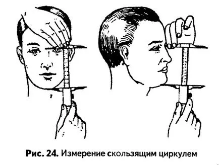 Основните размери на главата