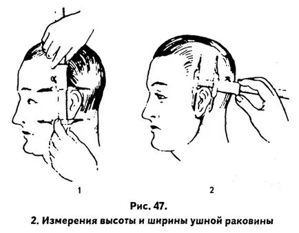 Основните размери на главата