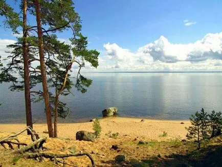 Ladoga-tó leírása, mélység, topográfia, hal