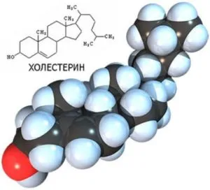 Máj és koleszterin - a kapcsolatot, és mennyi a májban szintetizálódik