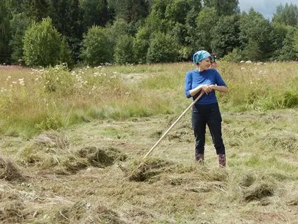 A napló, hogyan kell építeni egy tornyot Kosztroma erdő - RIA Novosti