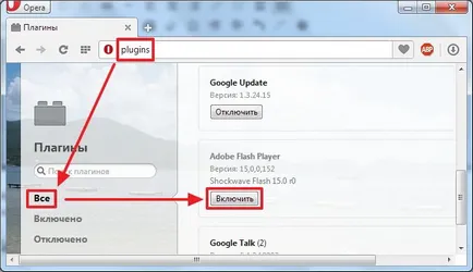 De ce nu flash player-ul la operă