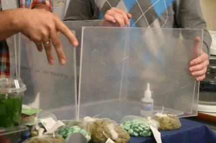 Arról, hogy hogyan készíts akvárium plexi kezével vélemény hogyan lehet a legjobban, hogy a ragasztó anyag