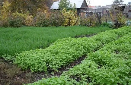 Култури са съвместими и запечатани