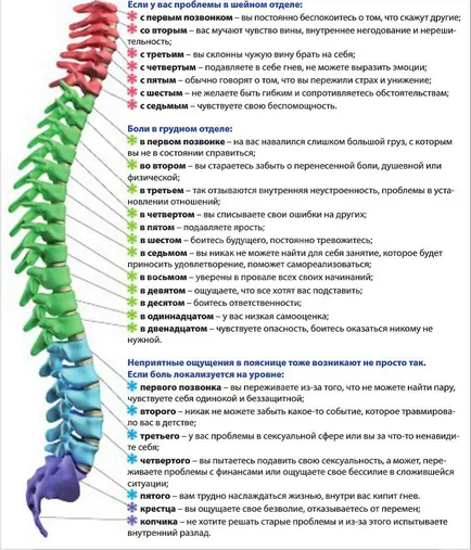 coloanei vertebrale fotografie