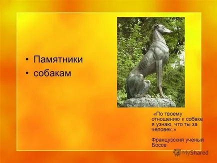 Представяне на легендарния кучето и благодарен на човечеството - ни обичаш повече от себе си - п