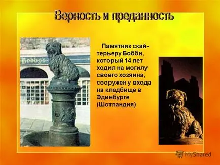 Представяне на легендарния кучето и благодарен на човечеството - ни обичаш повече от себе си - п