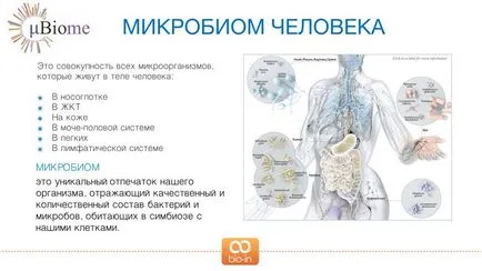 bio-in program probiotikumok