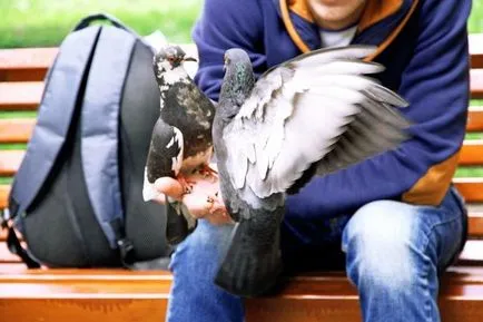 Szokások, amelyek zökkenőmentesen károsítja az egészségünket