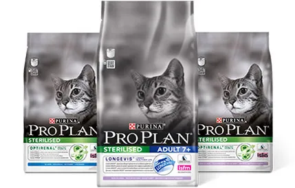 Propian macskák - főleg a modern takarmány, hasznos és káros tulajdonságokat