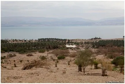 Utazási Izrael - Ein Gedi -: Ein Gedi