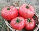 tomate roz soiuri populare