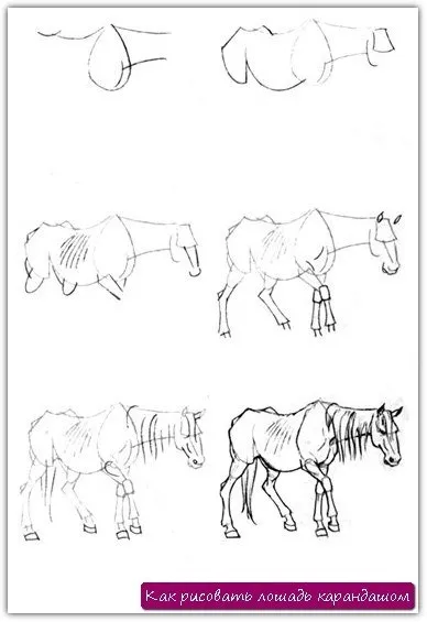 Rajzolj egy ló, rajz iso_new