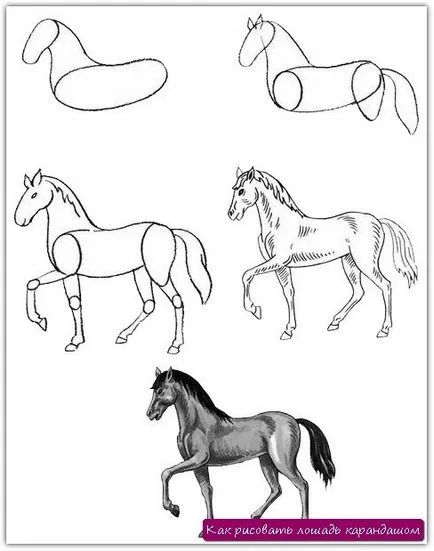 Rajzolj egy ló, rajz iso_new