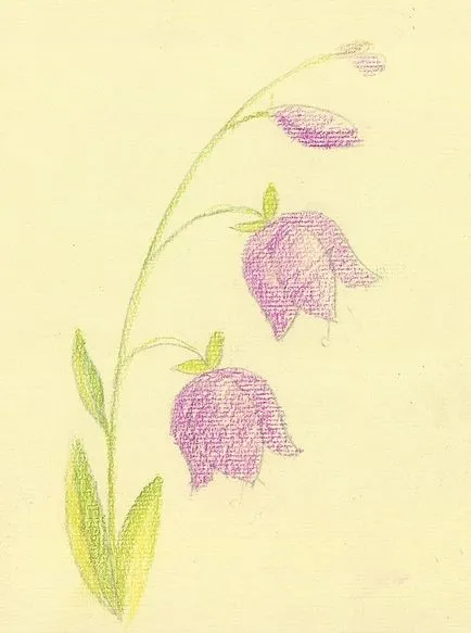 Desen de flori într-o vază în etape pentru copii; cum să atragă un frumos clopot floare sau creion