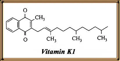 Surse de vitamina k1