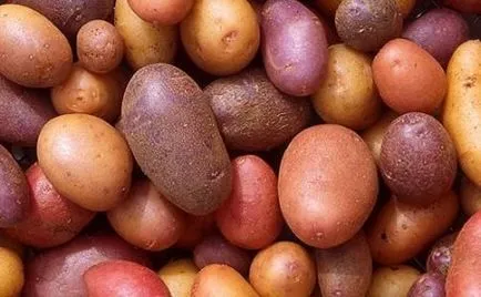 Историята на картофа