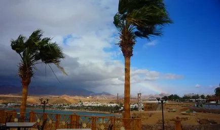 vânturile sezonului în Egipt - ofensiva