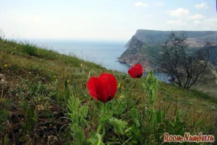 Sevastopol în timpul sărbătorilor de mai 3 zile de aventură în Crimeea