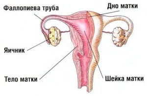 Aderențele în trompele uterine cauze, simptome, diagnostic, tratament