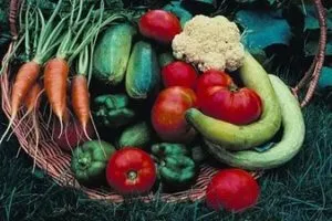 Compatibilitatea de legume în grădină sfaturi privind debarcările o bună planificare în țară