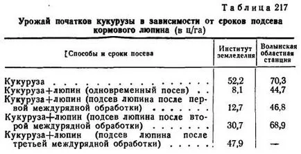 Съвместно фураж царевица лупина семена - agroarhiv селскостопански материали