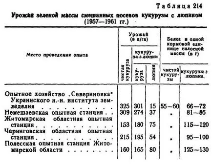 Съвместно фураж царевица лупина семена - agroarhiv селскостопански материали