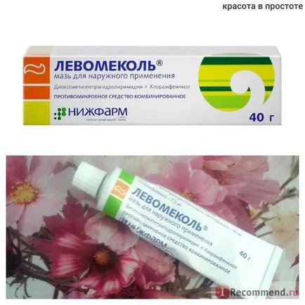 Средства стимулиране регенерацията Nizhpharm levomekol - 