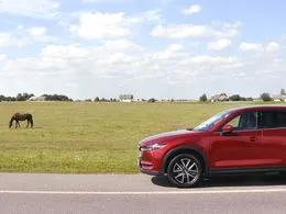 Tesztvezetés Volkswagen Caddy alltrack