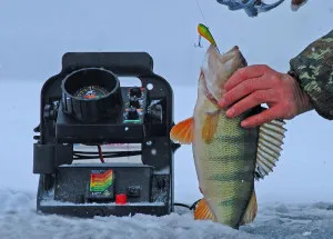 Tehnica de pescuit plătică în iarna pe uneltele rocker, echipamentele și momeală