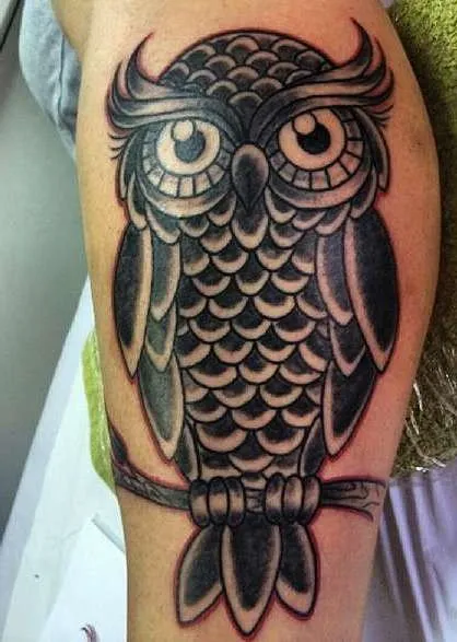 Bird tatuaj sensul fotografii, schițe