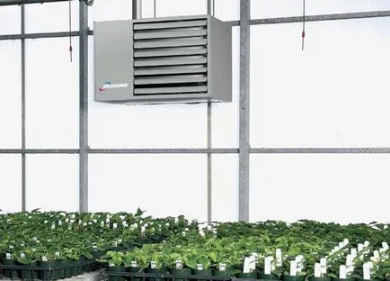 Оранжерията за отглеждане на зеленина през цялата година, как да създадете микроклимат за растения
