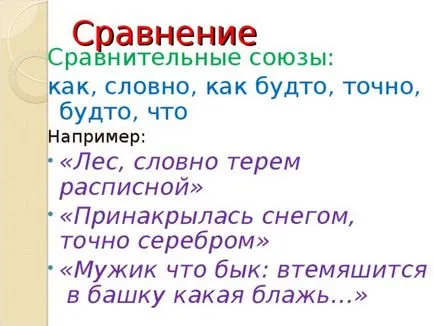 Пътеки като средство за художествено изразяване - на български език, представяне