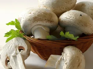 Як чистити гриби (гриби) Як чистити гриби