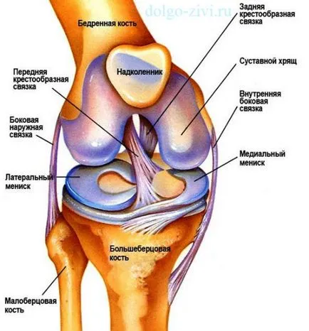 Yoga cu osteoartrita a articulației genunchiului pentru a ajuta la salvarea