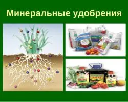 Торфени разлики от низина - по-добро използване на