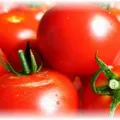 cultivarea răsad de tomate - cum să aterizeze și să crească