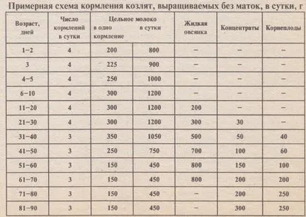 Saanen кози - описание на породата