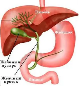 Az epekövek kezelésére emberek jogorvoslatok