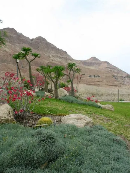 Rezervația naturală Ein Gedi