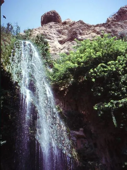 Ein Gedi Természetvédelmi Terület