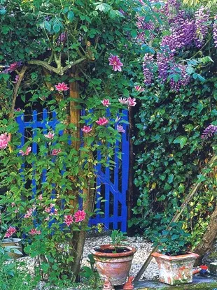 Condiții de viață de perete în grădină
