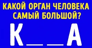 11 aplicații care vor ajuta să învețe o limbă străină