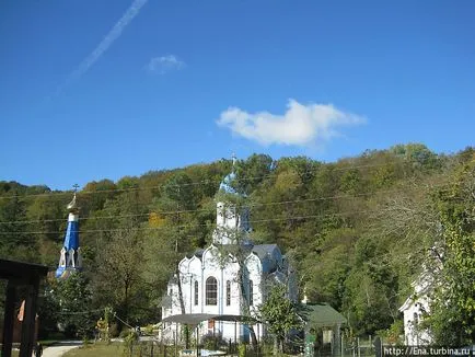 Adler în munții din Caucaz (octombrie 2011) (Adler, România)