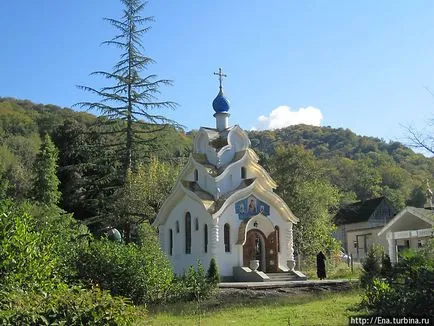 Адлер в планините на Кавказ (октомври 2011 г.) (Adler, България)